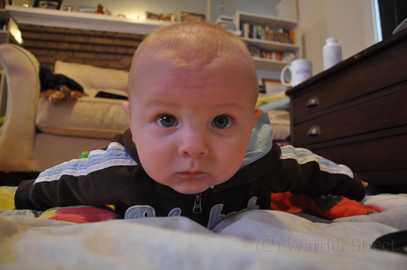 William's Nineteenth Week 12.jpg